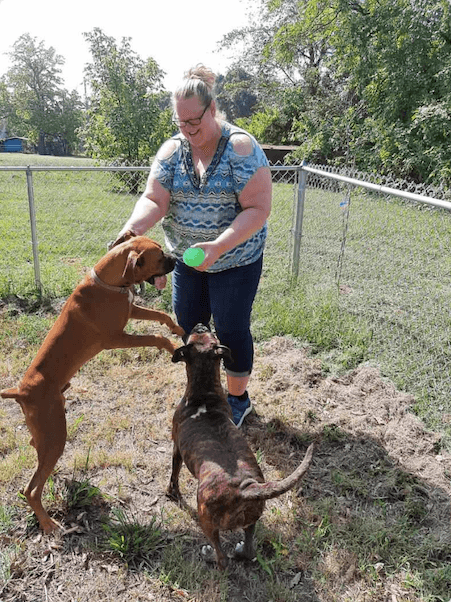 Rhonda Collins Pets.png